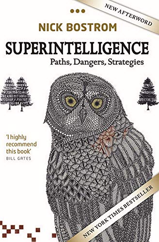 Product Cover Superintelligence: Paths, Dangers, Strategies