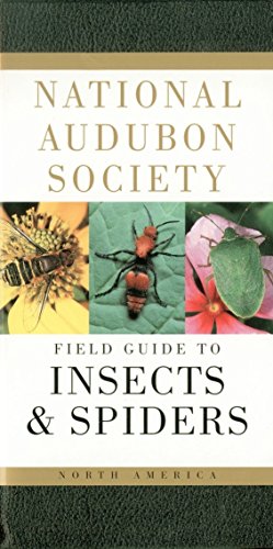 Product Cover National Audubon Society Field Guide to Insects and Spiders: North America (National Audubon Society Field Guides)