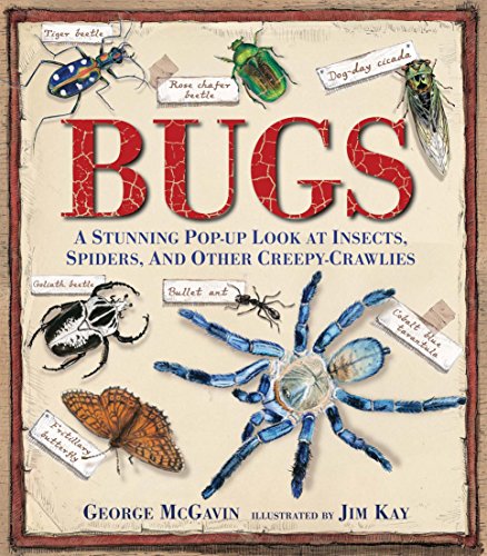 Product Cover Bugs: A Stunning Pop-up Look at Insects, Spiders, and Other Creepy-Crawlies