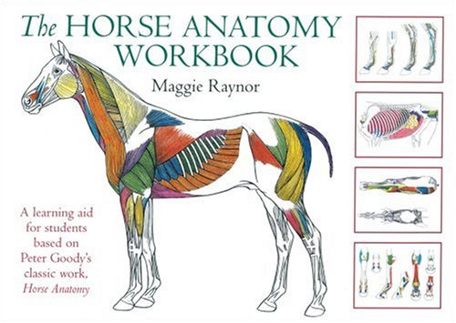 Product Cover Horse Anatomy Workbook (Allen Student)
