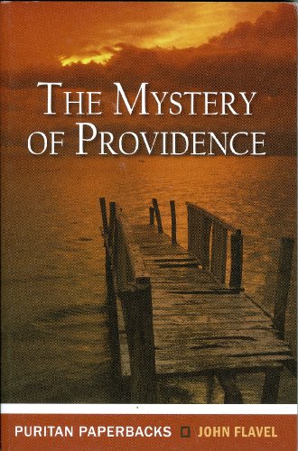 Product Cover Mystery of Providence (Puritan Paperbacks)