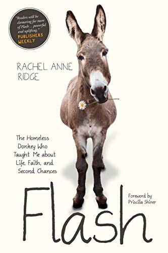 Product Cover Flash: The Homeless Donkey Who Taught Me about Life, Faith, and Second Chances (Flash the Donkey)