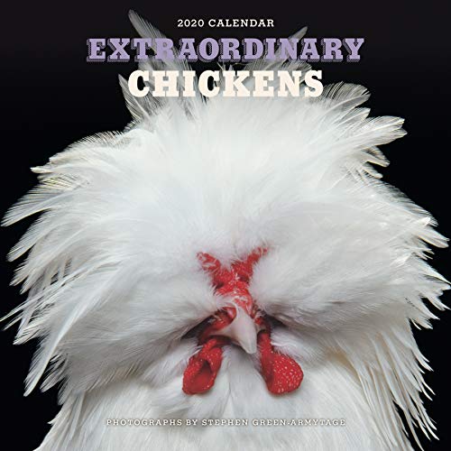 Product Cover Extraordinary Chickens 2020 Wall Calendar