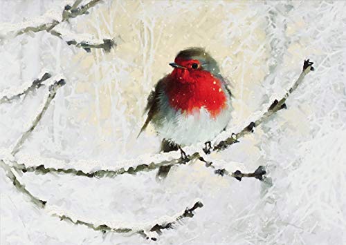Product Cover English Robin in Winter Deluxe Boxed Holiday Cards (Christmas Cards, Greeting Cards)