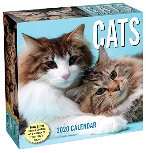 Product Cover Cats 2020 Day-to-Day Calendar
