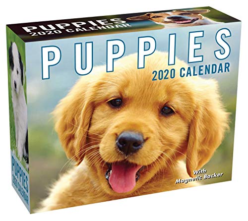 Product Cover Puppies 2020 Mini Day-to-Day Calendar