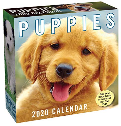 Product Cover Puppies 2020 Day-to-Day Calendar