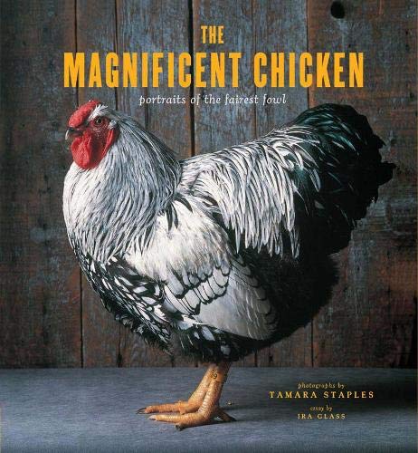 Product Cover The Magnificent Chicken: Portraits of the Fairest Fowl