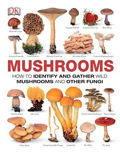 Product Cover Mushrooms: How to Identify and Gather Wild Mushrooms and Other Fungi