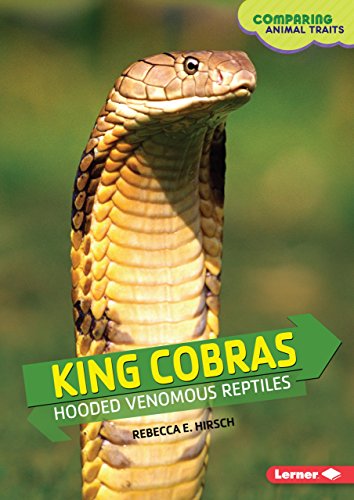 Product Cover King Cobras: Hooded Venomous Reptiles (Comparing Animal Traits)