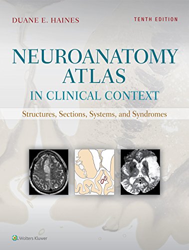 Product Cover Neuroanatomy Atlas in Clinical Context: Structures, Sections, Systems, and Syndromes