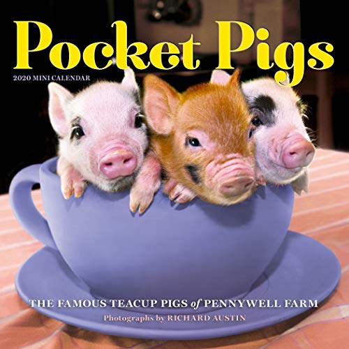 Product Cover Pocket Pigs Mini Wall Calendar 2020