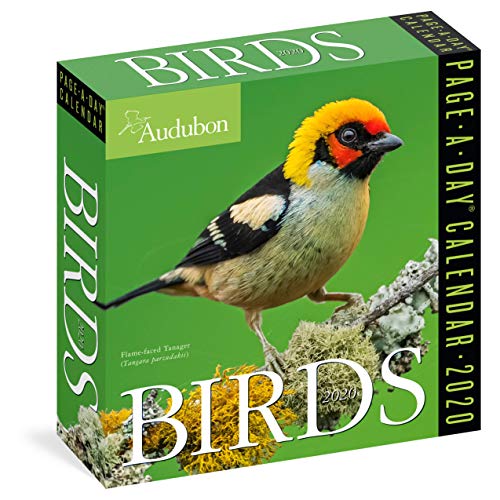 Product Cover Audubon Birds Page-A-Day Calendar 2020