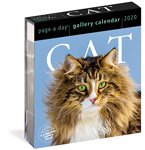 Product Cover Cat Page-A-Day Gallery Calendar 2020