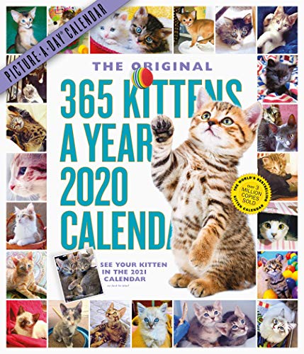 Product Cover 365 Kittens-A-Year Picture-A-Day Wall Calendar 2020
