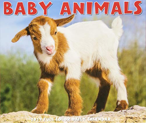 Product Cover Baby Animals 2019 Box Calendar