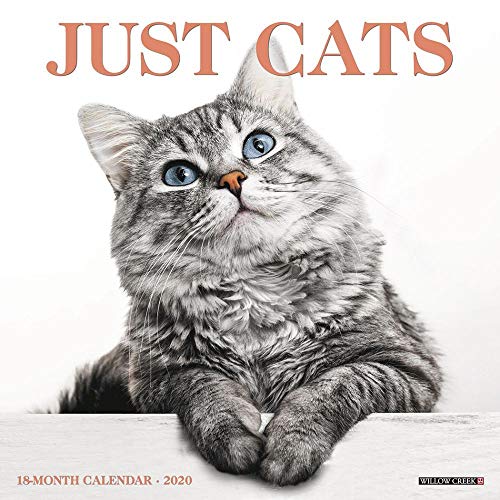 Product Cover Just Cats 2020 Wall Calendar