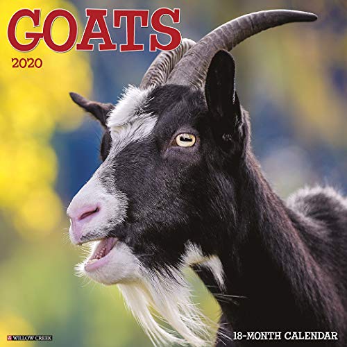 Product Cover Goats 2020 Wall Calendar
