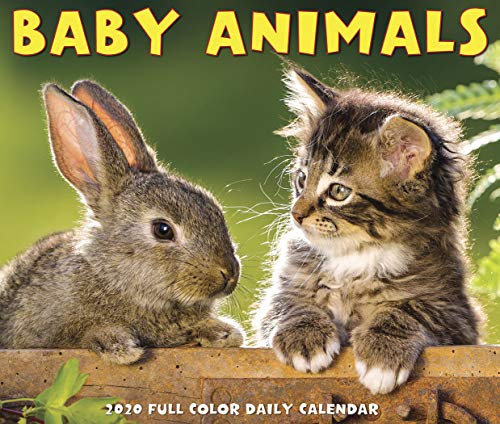 Product Cover Baby Animals 2020 Box Calendar
