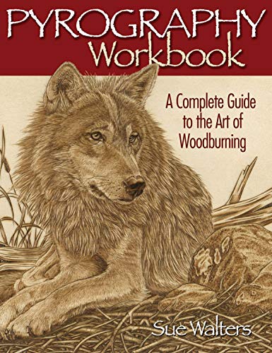 Product Cover Pyrography Workbook: A Complete Guide to the Art of Woodburning (Fox Chapel Publishing) Step-by-Step Projects and Original Patterns for Beginners, Intermediate, and Advanced Woodburners