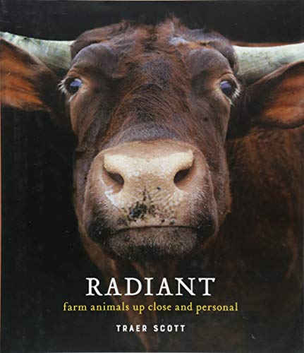 Product Cover Radiant: Farm Animals Up Close and Personal (Farm Animal Photography Book)