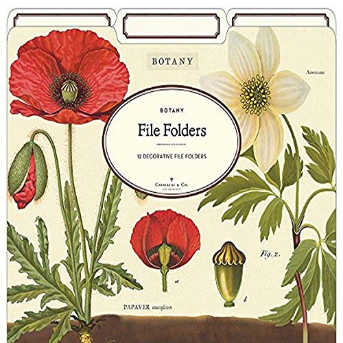 Product Cover Cavallini Papers & Co. Botany Heavyweight File Folders (Set of 12)