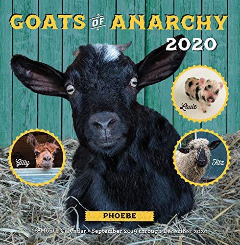 Product Cover Goats of Anarchy 2020: 16 Month Calendar  September 2019 Through December 2020