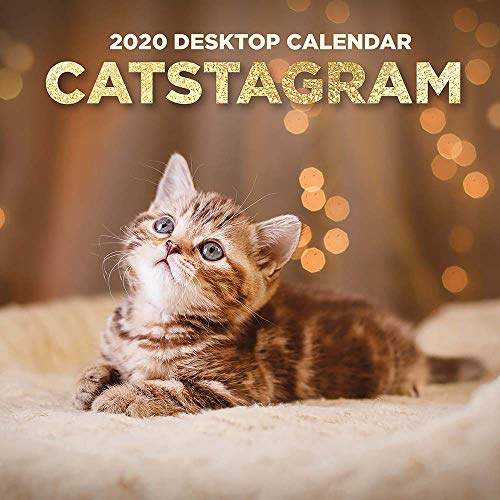 Product Cover 2020 Catstagram Daily Desktop Calendar