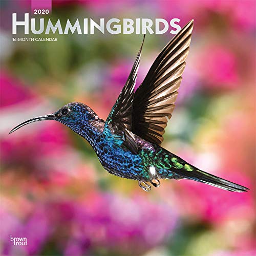 Product Cover Hummingbirds 2020 12 x 12 Inch Monthly Square Wall Calendar with Foil Stamped Cover, Animals Wildlife Birds (English, French and Spanish Edition)