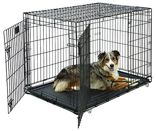 Product Cover Large Dog Crate | MidWest Life Stages Double Door Folding Metal Dog Crate | Divider Panel, Floor Protecting Feet, Leak-Proof Dog Tray | 42L x 28W x 31H Inches, Large Dog Breed