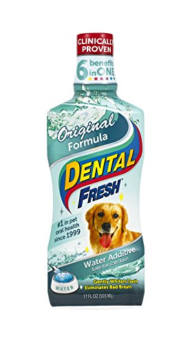 Product Cover SynergyLabs Dental Fresh Original Formula for Dogs and Cats; 17 fl. oz.