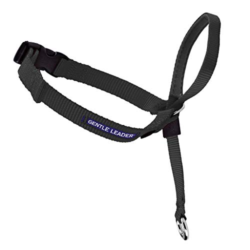 Product Cover PetSafe Gentle Leader Head Collar with Training DVD, EXTRA LARGE 130+LBS., BLACK