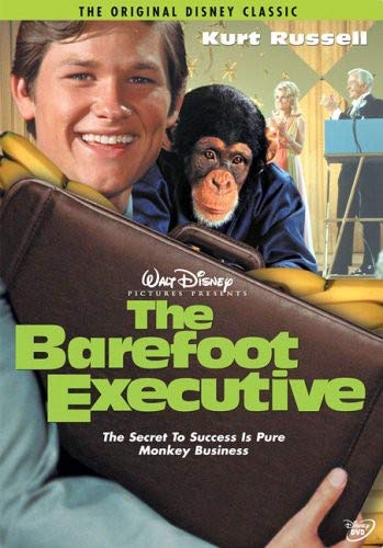 Product Cover The Barefoot Executive