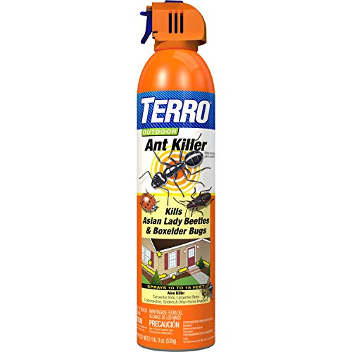 Product Cover TERRO 1700 T1700 19 oz. Outdoor Ant Killer Spray, 1 Pack