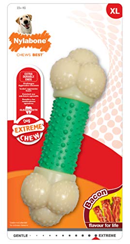 Product Cover Nylabone Double Action Power Chew Durable Dog Toy, Bacon, 1 count, Souper