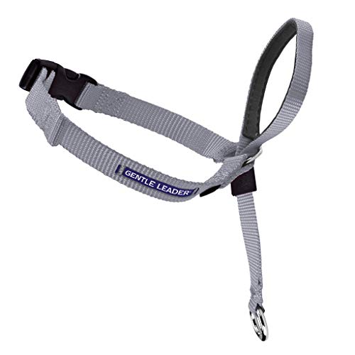 Product Cover PetSafe Gentle Leader Head Collar with Training DVD, MEDIUM 25-60 LBS., SILVER