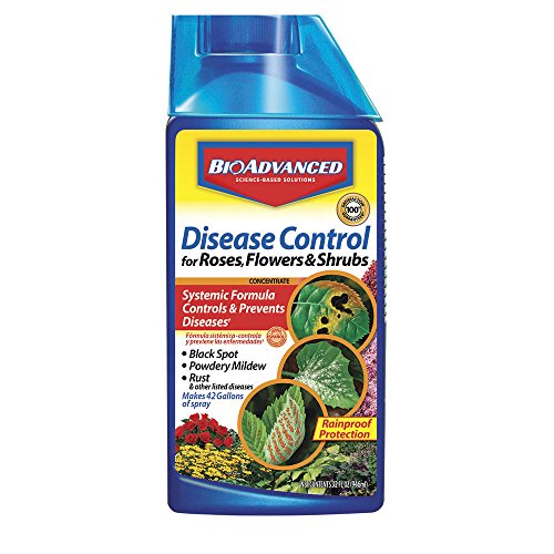 Product Cover Bayer Advanced 701250 Disease Control for Rose, Flower and Shrubs Concentrate, 32-Ounce