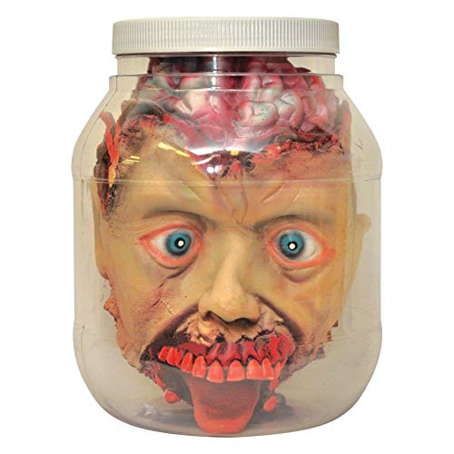 Product Cover Forum Novelties 53282 Standard Head in Laboratory Jar Party Supplies, One Size, Multicolor
