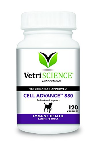 Product Cover Vetri-Science Cell Advance 880 for Dogs, 120 Capsules