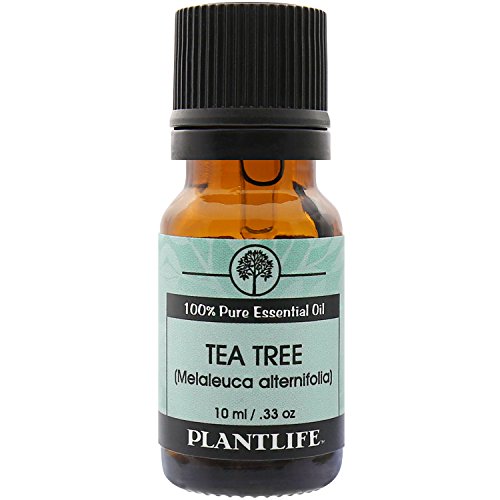 Product Cover Plantlife Tea Tree 100% Pure High Grade Quality Essential Oil, 10 Ml