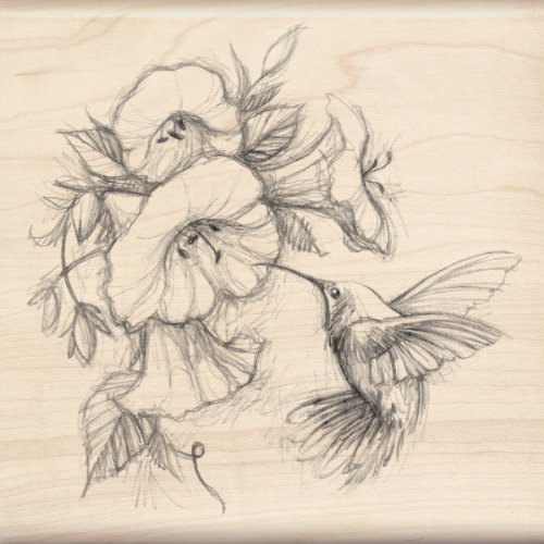 Product Cover Inkadinkado Mounted Rubber Stamp, 4.5x4.5-Inch, Hummingbird with Flowers