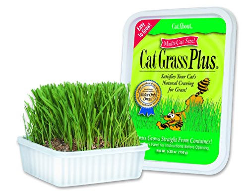 Product Cover Cat-A'bout Multi-Cat CatGrass Plus Tub 150 grams by MiracleCorp/Gimborn