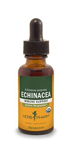 Product Cover Herb Pharm Certified Organic Echinacea Root Liquid Extract for Immune System Support, Organic Cane Alcohol, 1 Ounce
