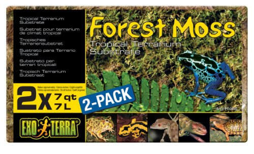 Product Cover Exo Terra Forest Plume Moss, 7 Quarts, 2-Pack