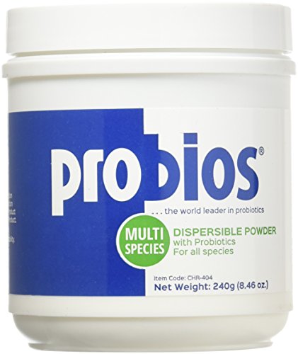 Product Cover Vet Plus Probios Dispersible Digestive Powder, 240gm