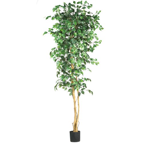 Product Cover Nearly Natural 5210 Ficus Silk Tree, 7-Feet, Green