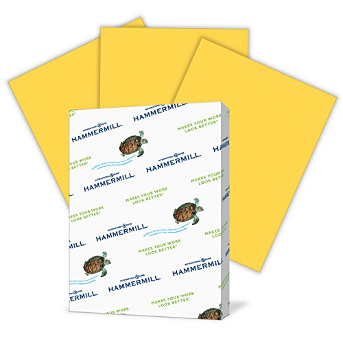 Product Cover Hammermill Colored Paper, Goldenrod Printer Paper, 20lb, 8.5x11 Paper, Letter Size, 500 Sheets / 1 Ream, Pastel Paper, Colorful Paper (103168R)