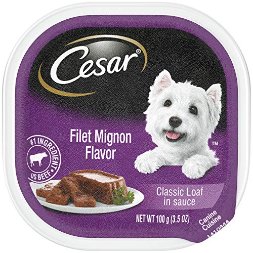 Product Cover Filet Mignon , 24 Trays , Standard Packaging : CESAR Classics Meat Flavored Adult Wet Dog Food Trays