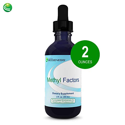 Product Cover Nutra BioGenesis Methyl Factors - B12 and Methyl Folate to Help Support Brain & Cardiovascular Health - Berry Flavor - 2 oz