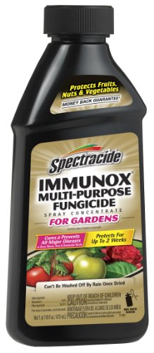Product Cover Spectracide 100507462 Immunox Multi Purpose Fungicide Spray Concentrate, 16 fl oz